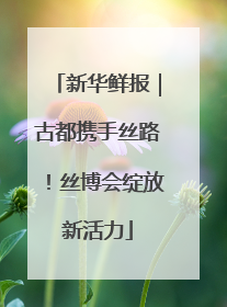 新华鲜报｜古都携手丝路！丝博会绽放新活力