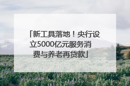 新工具落地！央行设立5000亿元服务消费与养老再贷款