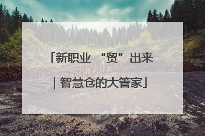 新职业 “贸”出来｜智慧仓的大管家