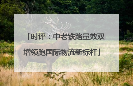 时评：中老铁路量效双增领跑国际物流新标杆