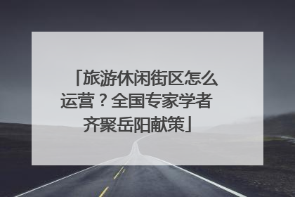 旅游休闲街区怎么运营？全国专家学者齐聚岳阳献策