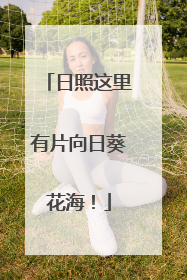 日照这里有片向日葵花海！