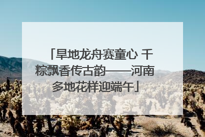 旱地龙舟赛童心 千粽飘香传古韵——河南多地花样迎端午