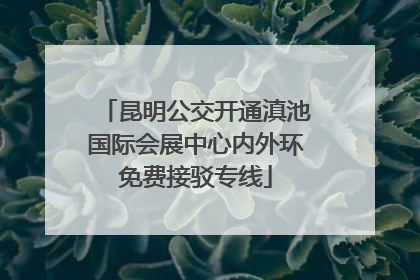 昆明公交开通滇池国际会展中心内外环免费接驳专线