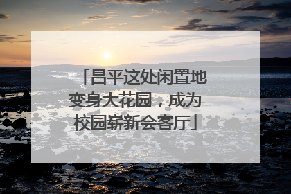 昌平这处闲置地变身大花园，成为校园崭新会客厅