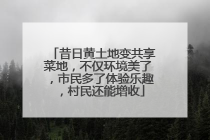 昔日黄土地变共享菜地，不仅环境美了，市民多了体验乐趣，村民还能增收