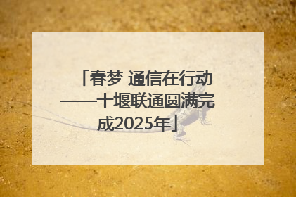 春梦 通信在行动——十堰联通圆满完成2025年