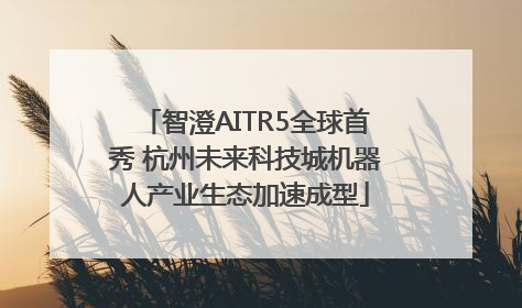 智澄AITR5全球首秀 杭州未来科技城机器人产业生态加速成型