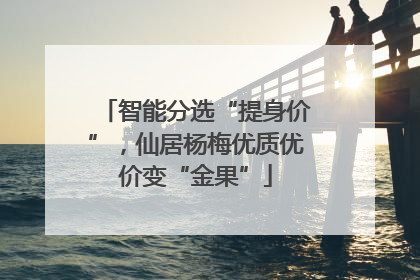 智能分选“提身价”，仙居杨梅优质优价变“金果”