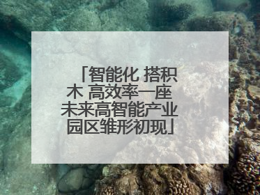 智能化 搭积木 高效率一座未来高智能产业园区雏形初现