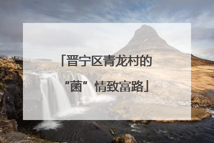 晋宁区青龙村的“菌”情致富路