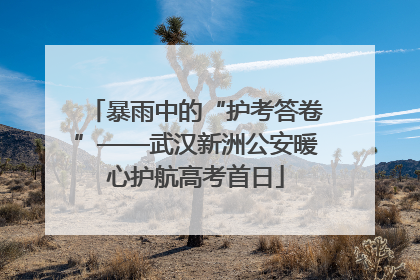 暴雨中的“护考答卷”——武汉新洲公安暖心护航高考首日