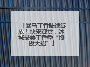 暴马丁香陆续绽放！快来观赏，冰城最美丁香季“终极大招”