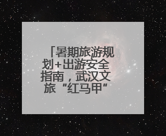 暑期旅游规划+出游安全指南，武汉文旅“红马甲”闪耀高招会