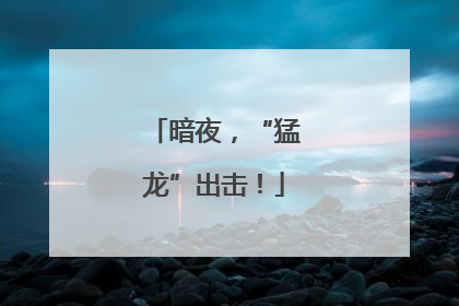 暗夜，“猛龙”出击！