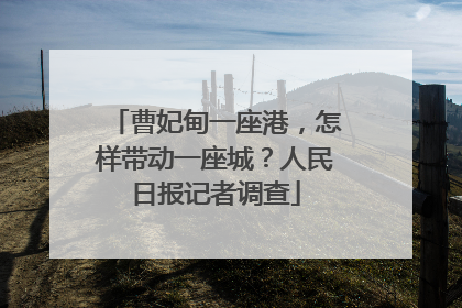 曹妃甸一座港，怎样带动一座城？人民日报记者调查