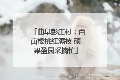 曲阜彭庄村：百亩樱桃红满枝 硕果盈园采摘忙