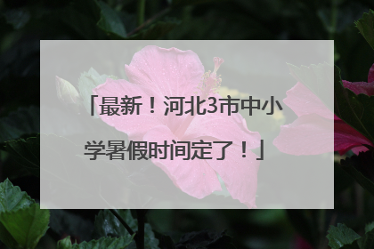 最新！河北3市中小学暑假时间定了！