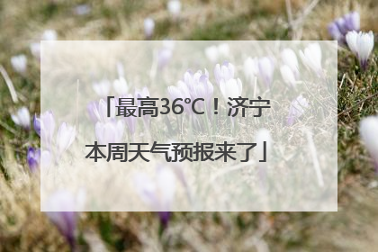 最高36℃！济宁本周天气预报来了