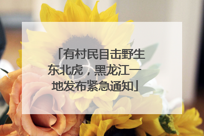 有村民目击野生东北虎，黑龙江一地发布紧急通知