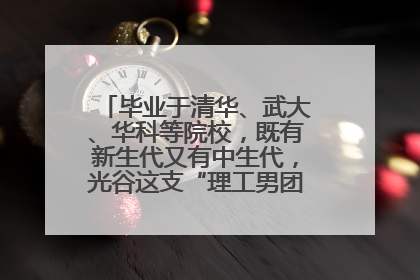 毕业于清华、武大、华科等院校，既有新生代又有中生代，光谷这支“理工男团”为何“出道”？