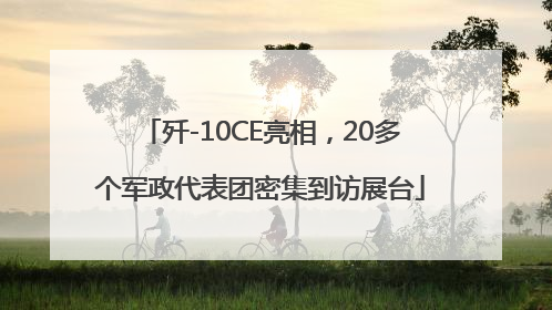 歼-10CE亮相，20多个军政代表团密集到访展台