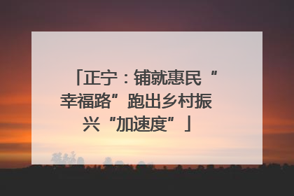 正宁：铺就惠民“幸福路”跑出乡村振兴“加速度”