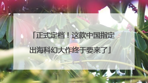 正式定档！这款中国指定出海科幻大作终于要来了