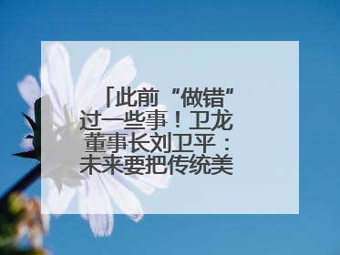 此前“做错”过一些事！卫龙董事长刘卫平：未来要把传统美食亲民娱乐化