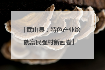 武山县：特色产业绘就富民强村新画卷