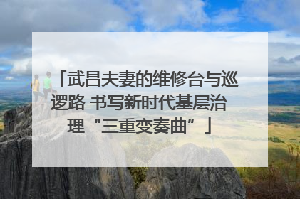 武昌夫妻的维修台与巡逻路 书写新时代基层治理“三重变奏曲”