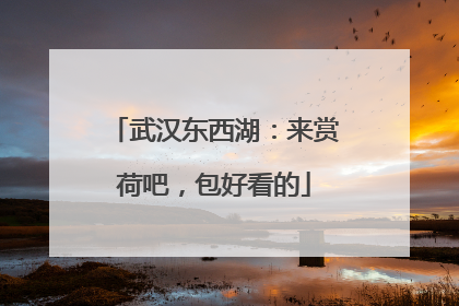 武汉东西湖：来赏荷吧，包好看的
