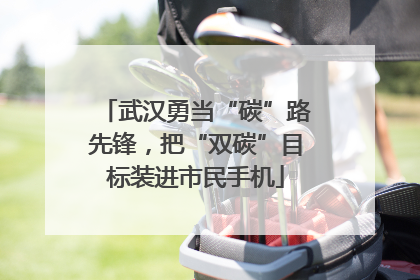 武汉勇当“碳”路先锋，把“双碳”目标装进市民手机