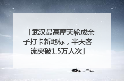 武汉最高摩天轮成亲子打卡新地标，半天客流突破1.5万人次