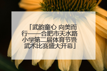 武韵童心 向美而行——合肥市天水路小学第二届体育节暨武术比赛盛大开幕