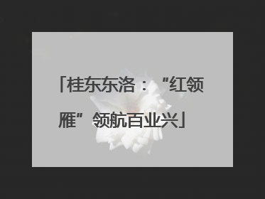 桂东东洛：“红领雁”领航百业兴