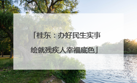 桂东：办好民生实事 绘就残疾人幸福底色