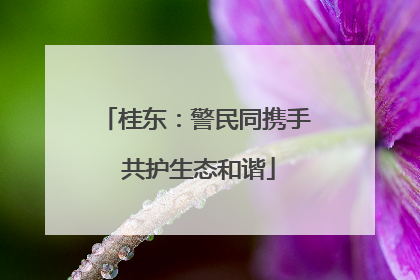 桂东：警民同携手 共护生态和谐
