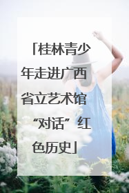 桂林青少年走进广西省立艺术馆“对话”红色历史