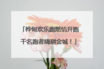 桦甸欢乐跑燃情开跑 千名跑者嗨翻金城！