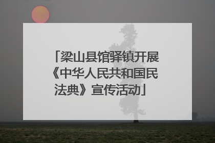 梁山县馆驿镇开展《中华人民共和国民法典》宣传活动