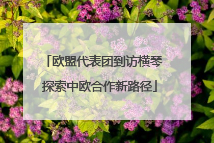 欧盟代表团到访横琴 探索中欧合作新路径