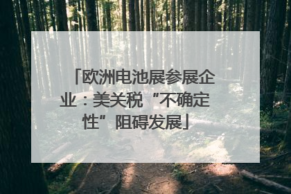 欧洲电池展参展企业：美关税“不确定性”阻碍发展