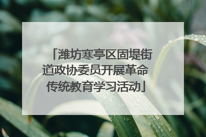 潍坊寒亭区固堤街道政协委员开展革命传统教育学习活动