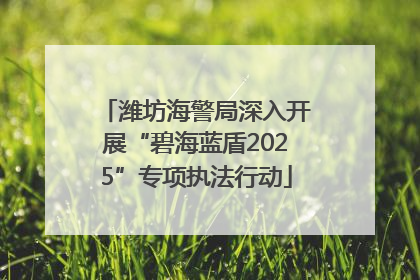 潍坊海警局深入开展“碧海蓝盾2025”专项执法行动