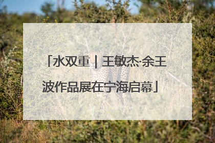 水双重｜王敏杰·余王波作品展在宁海启幕