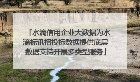 水滴信用企业大数据为水滴标讯招投标数据提供底层数据支持开展多类型服务