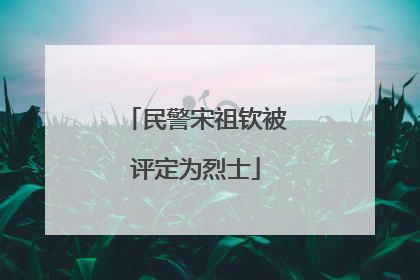 民警宋祖钦被评定为烈士