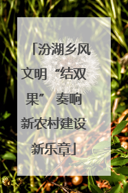 汾湖乡风文明“结双果” 奏响新农村建设新乐章