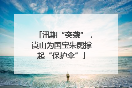 汛期“突袭”，崀山为国宝朱鹮撑起“保护伞”